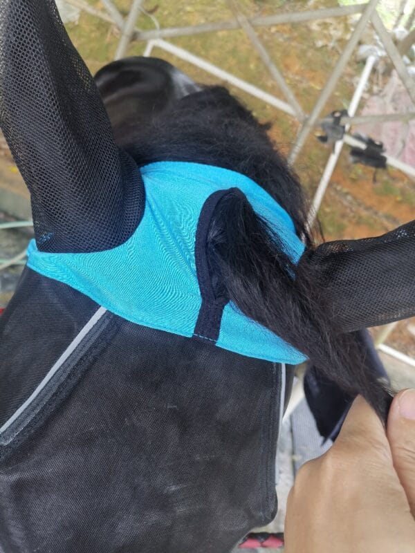 FlyMaskBlueDetail1-1000 | Ankaier