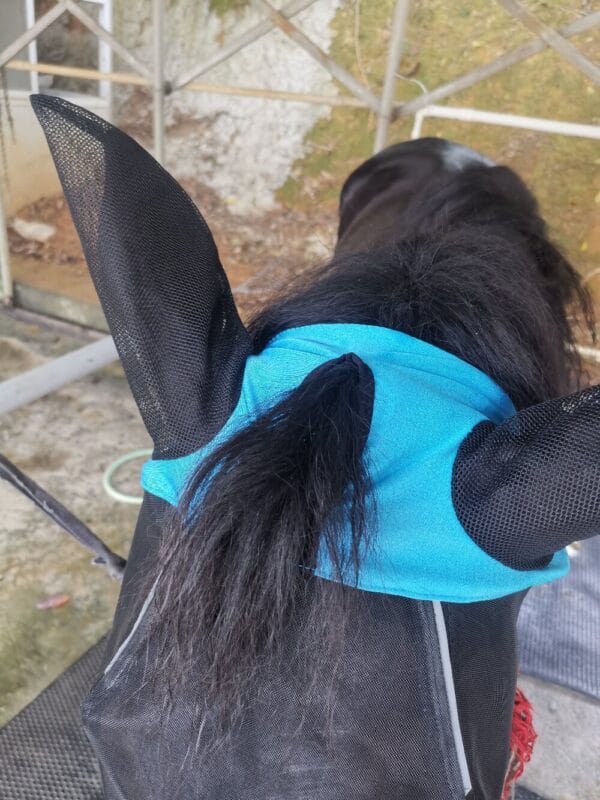 FlyMaskBlueDetail2-1000 | Ankaier