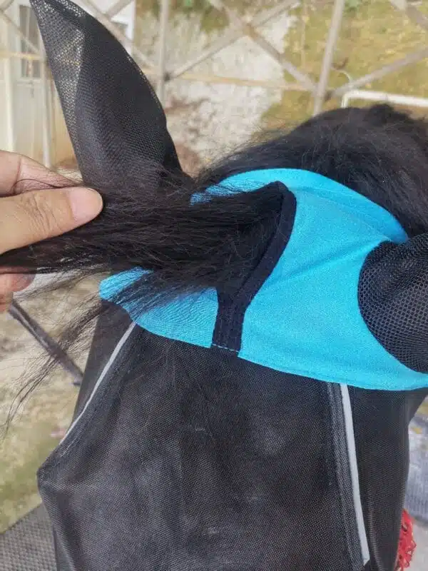 FlyMaskBlueDetail3-1000 FlyMaskBlueDetail3-1000 | Ankaier