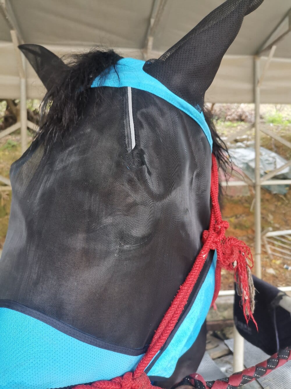 horse fly mask