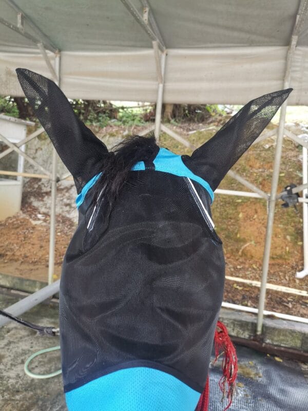 FlyMaskBlueMain3-1000 | Ankaier