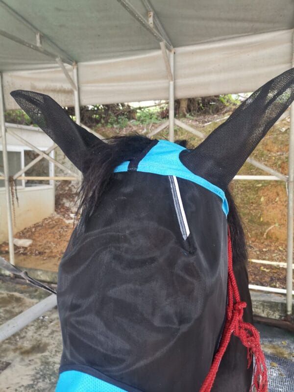 FlyMaskBlueMain4-1000 | Ankaier