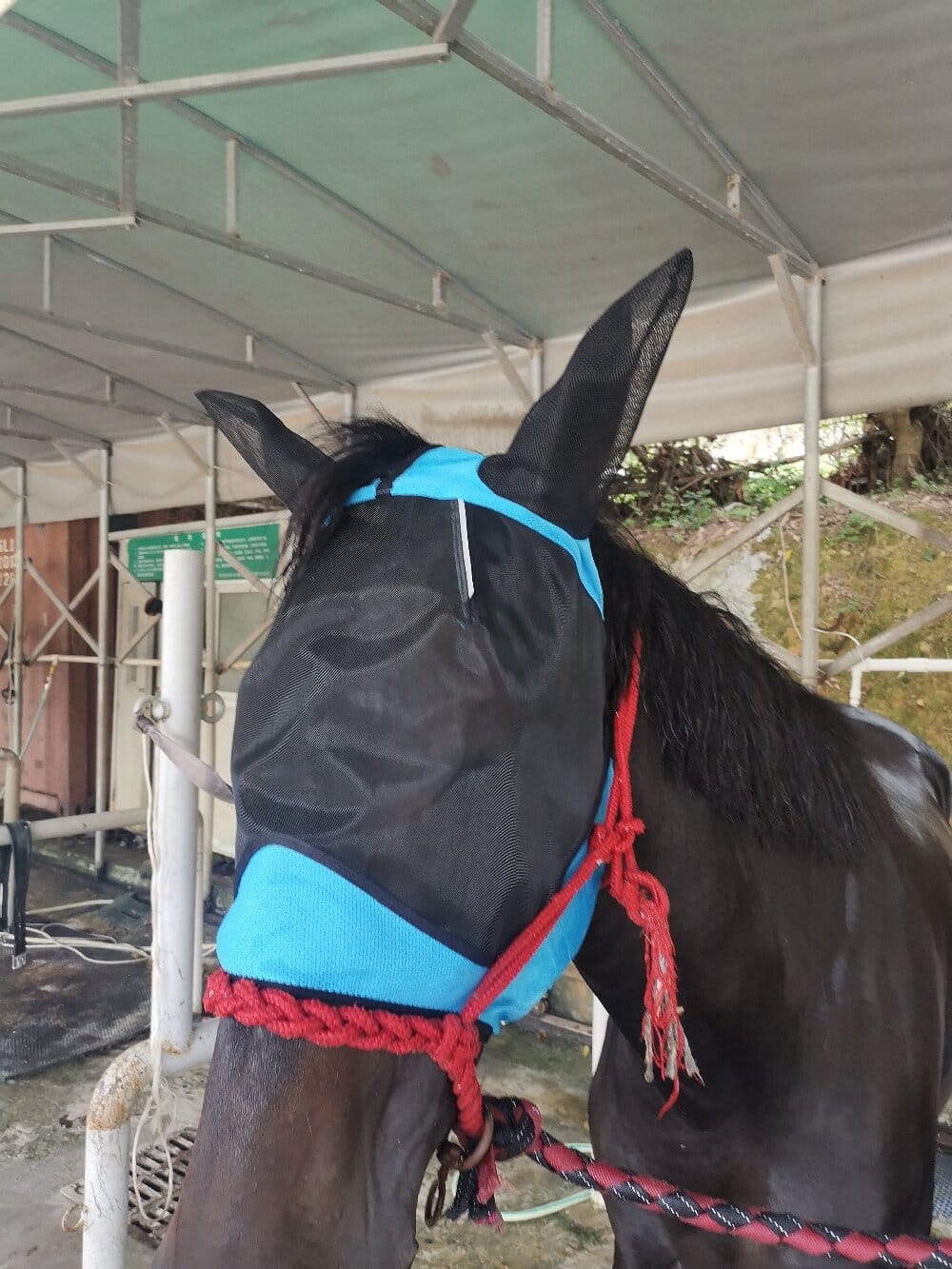 horse fly mask