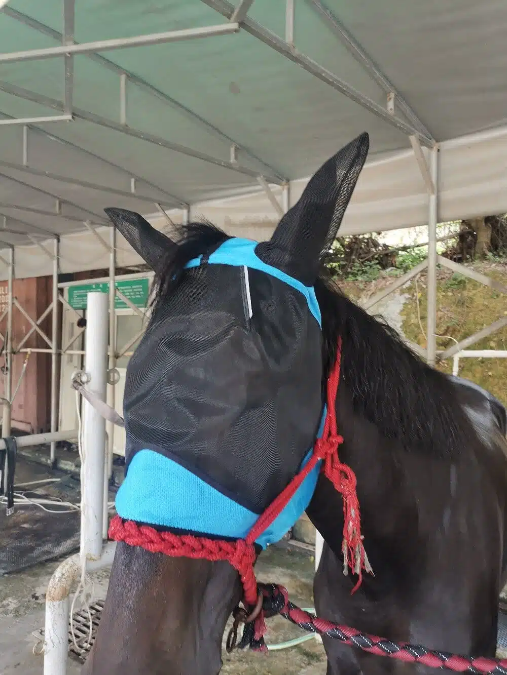 horse fly mask