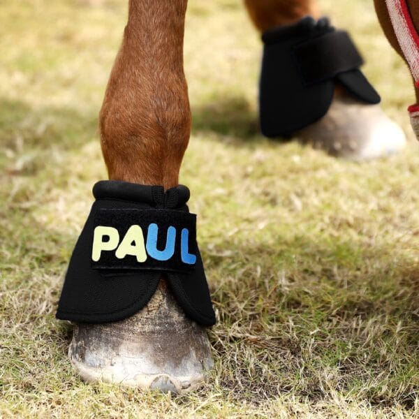 HookandloopLetterBlack-1600-Small HookandloopLetterBlack-1600-Small | Ankaier