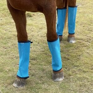 HorseWraps001 horse fly leggings