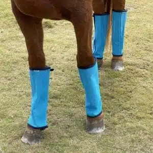 HorseWraps001 horse fly leggings