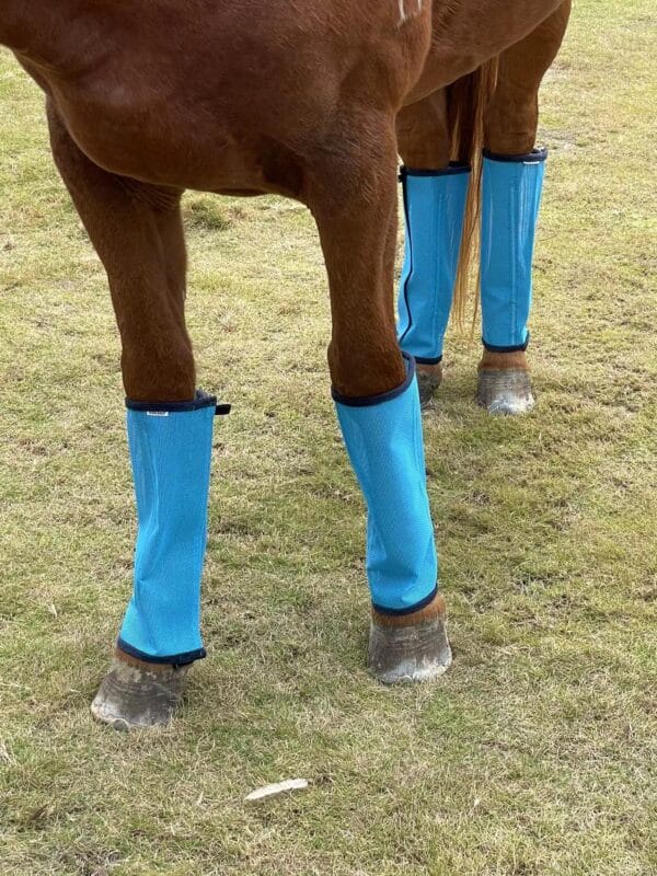 HorseWraps001 horse fly leggings