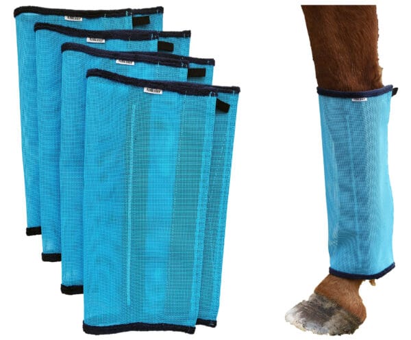 HorseWraps002 HorseWraps002 | Ankaier