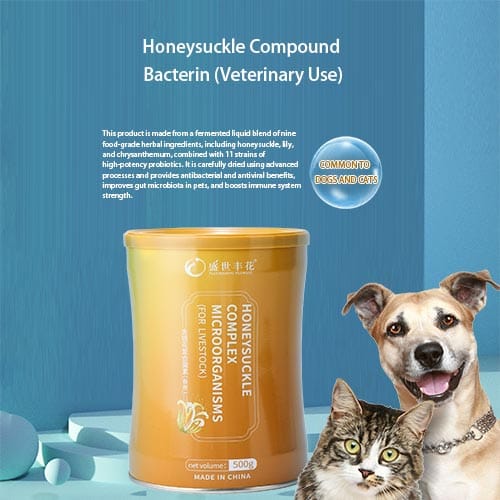 1EN500 1EN500 | Ankaier