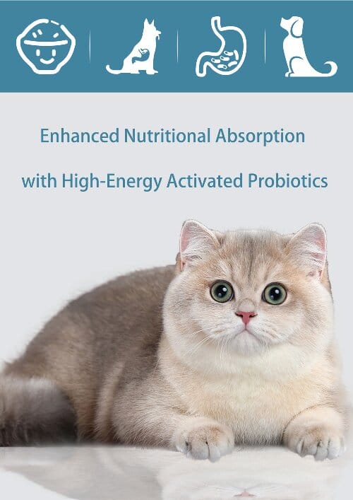 2EN500 2EN500 | Ankaier