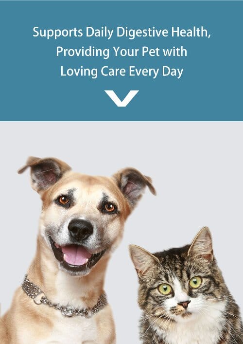 4EN500 4EN500 | Ankaier